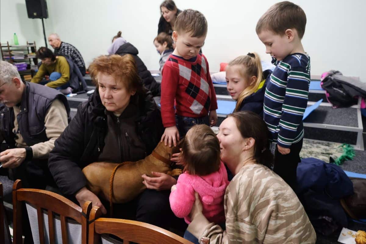 Evacuees from Mariupol