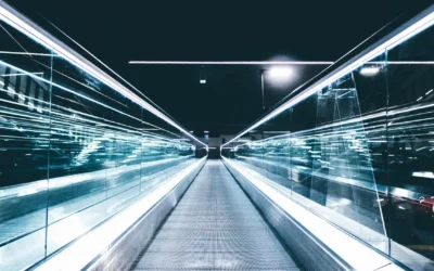 What the Future Holds