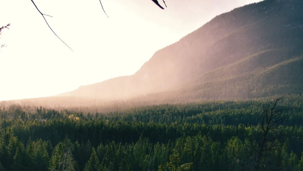 A Broader Understanding of Stewardship